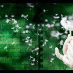 Respiration